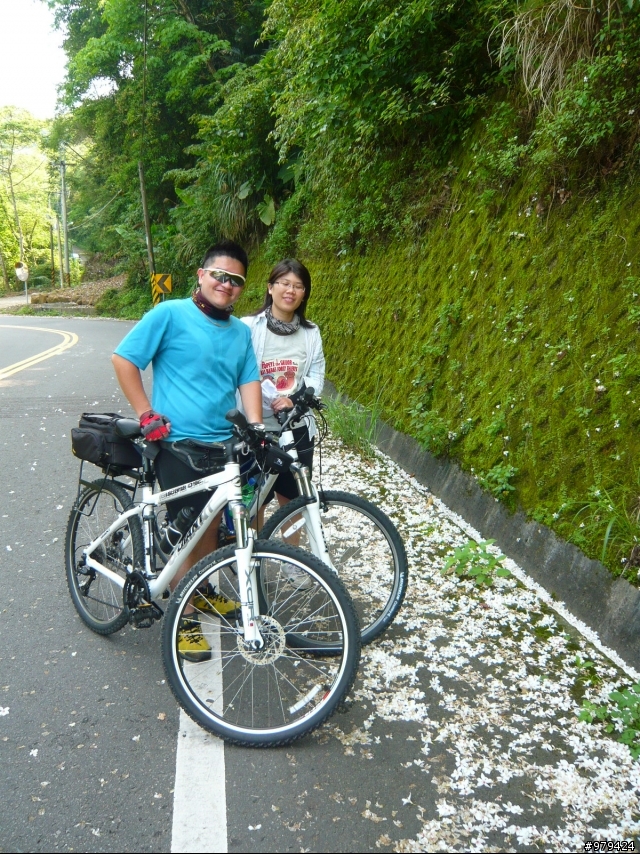 2008.0503羅馬公路之人間五月雪(圖多)