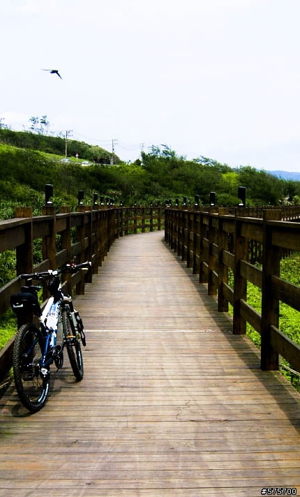 金山鐵馬道
