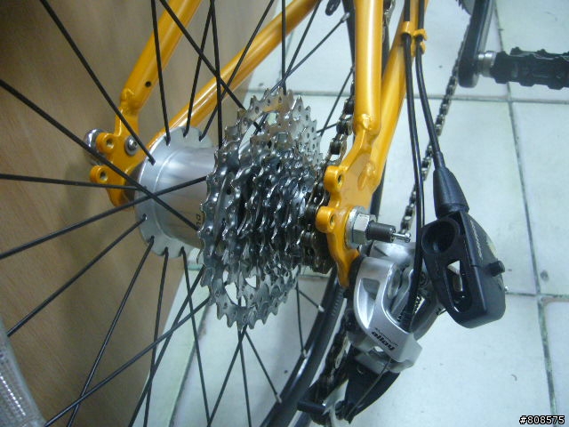 (求助)DAHON SPEED PRO的內變線器脫落  我該如何裝回去(附圖)