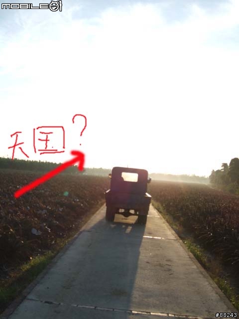 [遊記]大林自行車道