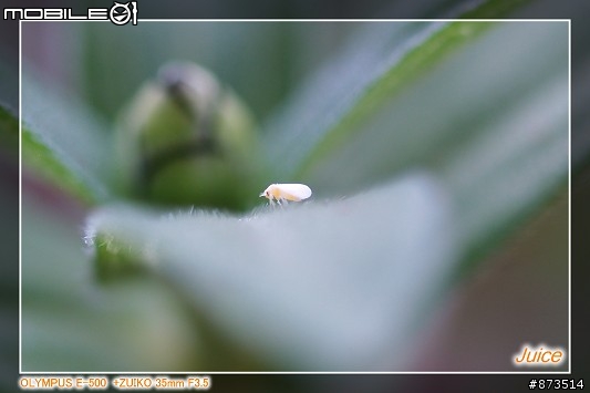 ZUIKO 35mm F3.5