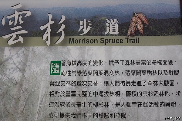 小百岳～東藤枝山