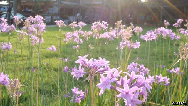 [分享]菜鳥與小K(CarryMe)淡水半日遊