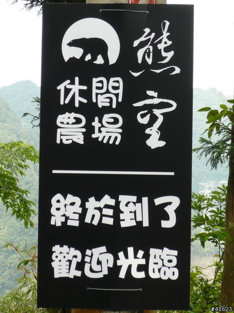 親近山林＆呼吸芬多精：熊空喝茶趣