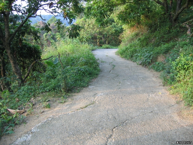 介紹一條很棒的山路台中太平(老鼠琦)