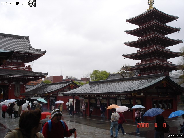 [圖多]狼狽之旅--東京賞櫻5日行