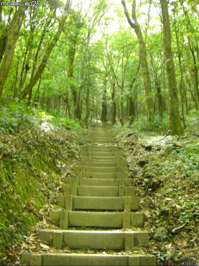 [遊記] 東眼山縱走滿月園(50多張圖)