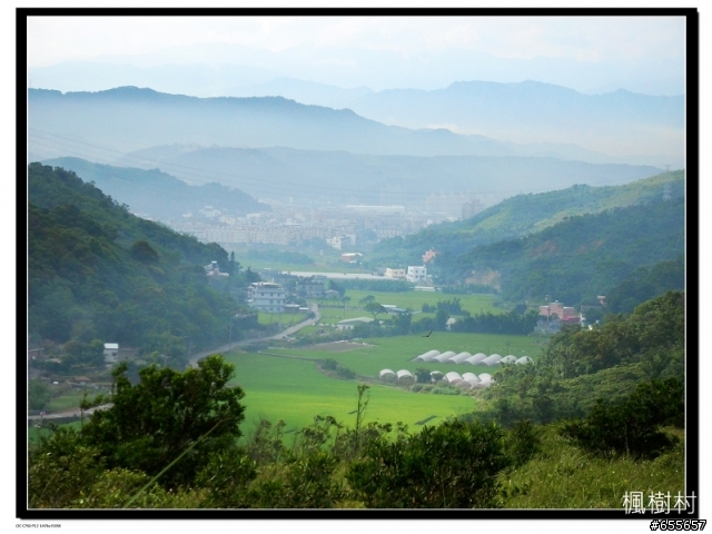 龜山~楓樹村~