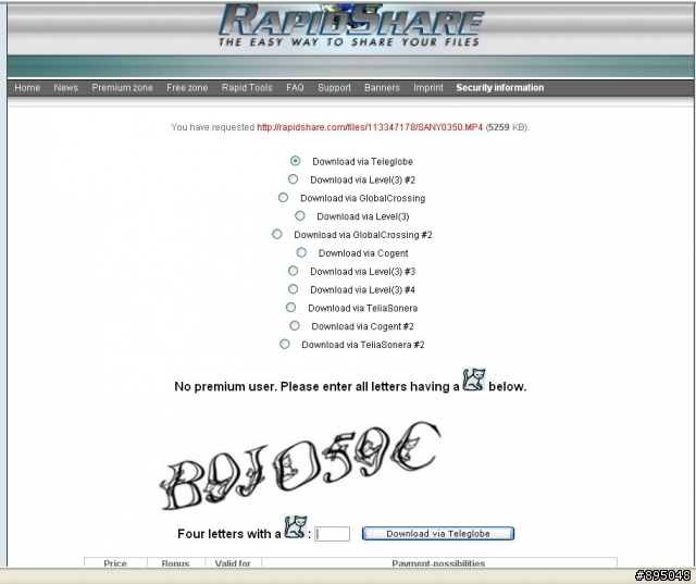 關於Rapidshare下載問題?