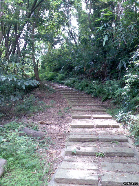 【路線】三段崎 2 + 2 兩小時遊