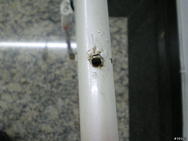 最近修理一台老剛管 座管與龍頭因蝕化無法拆装..請教一下有何方法