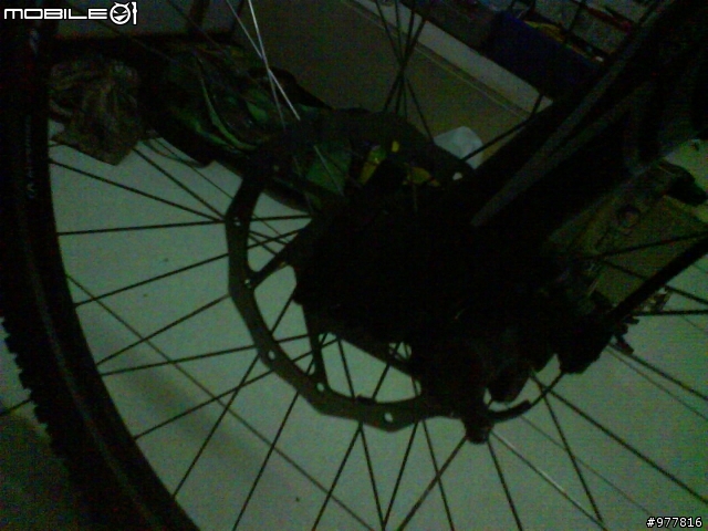 站上有沒有用IGUANA越野或分享騎IGUANA的感覺和探討IGUANA