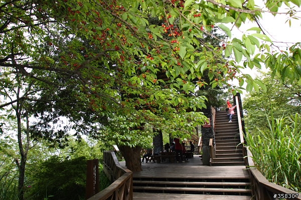 小百岳～東藤枝山