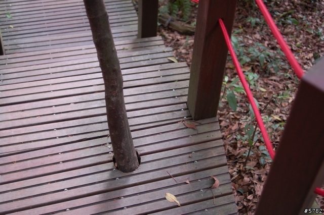 富陽自然生態公園
