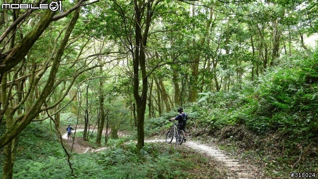 [遊記] 東眼山縱走滿月園(50多張圖)