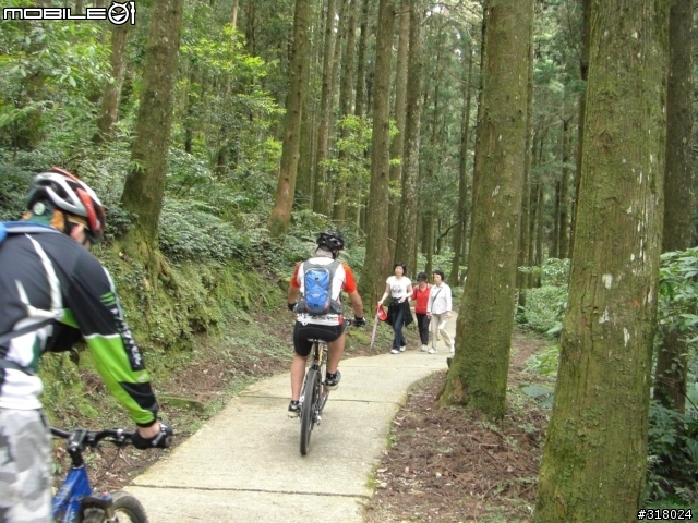 [遊記] 東眼山縱走滿月園(50多張圖)