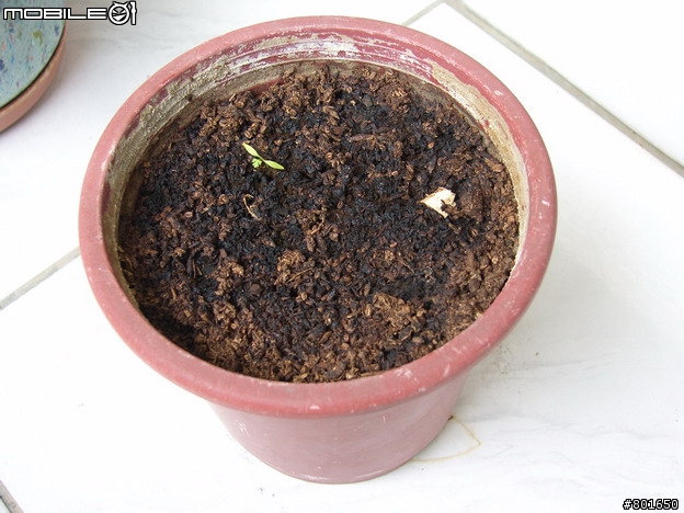不專業分享~平價超值相機分享~KODAK C813 開箱 C/P值高 便宜又大碗