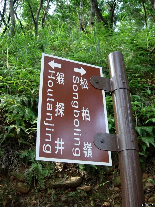 南路鹰一萬死九千(台語)