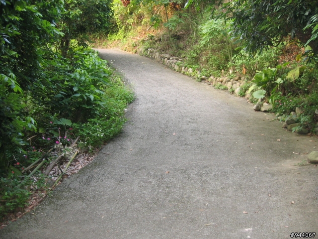 介紹一條很棒的山路台中太平(老鼠琦)