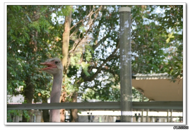 旗山美濃單車行