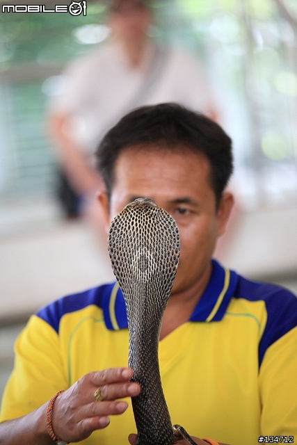 三元鏡~達成!!小小白IS再次入手~