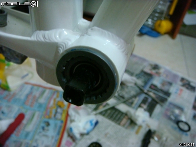 [分享]DAHON ECO3 DIY 升級16速 - [ 大盤曲柄和BB之拆卸安裝 ]