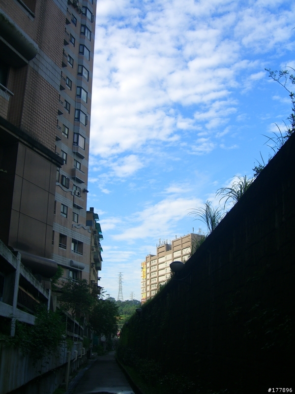 禮門街往中興路方向自行車道(圖多)