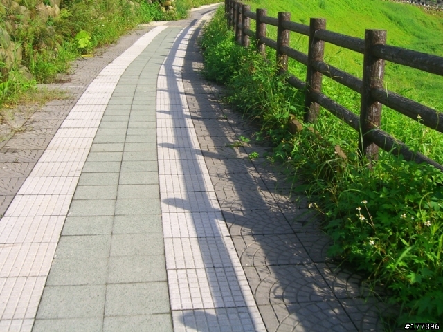 禮門街往中興路方向自行車道(圖多)