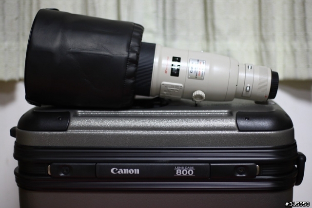 EF 800mm f5.6L IS 閩江河口 共同的牽掛