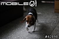 CANON EOS 1d mark III更新對焦元件後表現"超"滿意