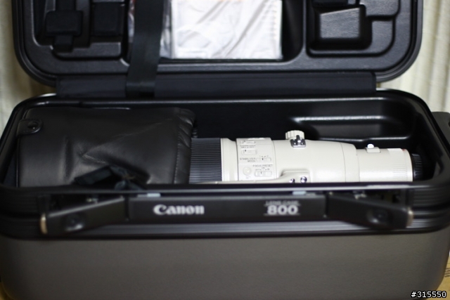 EF 800mm f5.6L IS 閩江河口 共同的牽掛