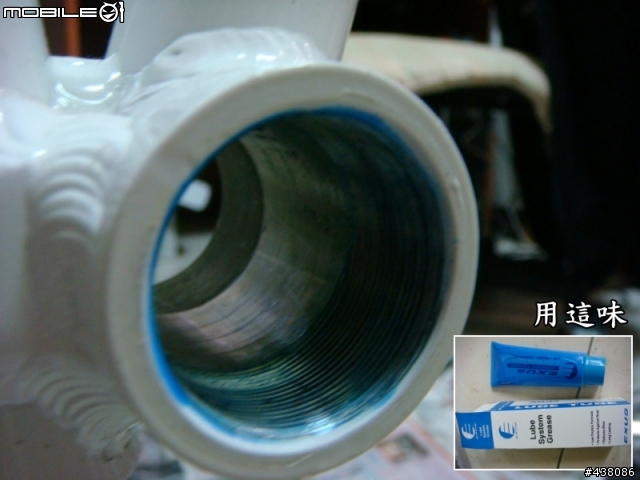 [分享]DAHON ECO3 DIY 升級16速 - [ 大盤曲柄和BB之拆卸安裝 ]