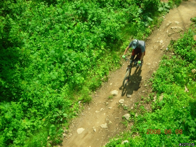 登山車公園體驗之旅(New jersey Diablo freeride park)
