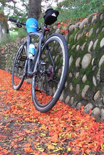 [分享] 我的時尚新通勤車 ORBEA 都會遊俠 DIEM