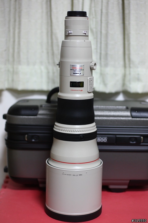 EF 800mm f5.6L IS 閩江河口 共同的牽掛