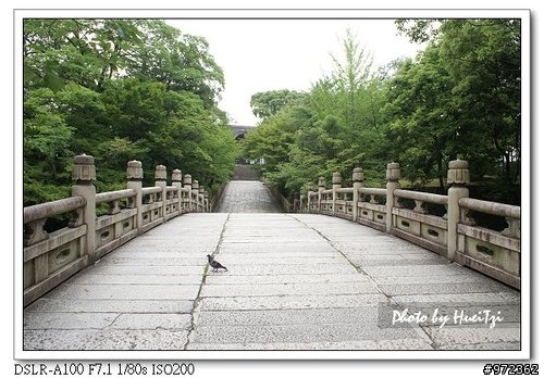 [景點]日本--京都 五条坂 (往清水寺)花草怡人的古街道