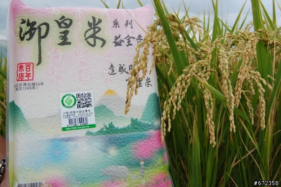 環法300k.一路騎來(吃喝玩樂)