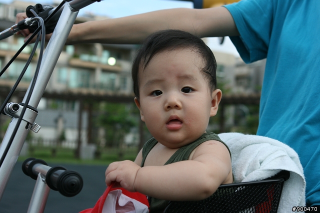 [分享]美利達2009年款摺疊親子車FTB-5
