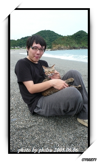 海灘狀況劇之貓咪追逐淚奔篇