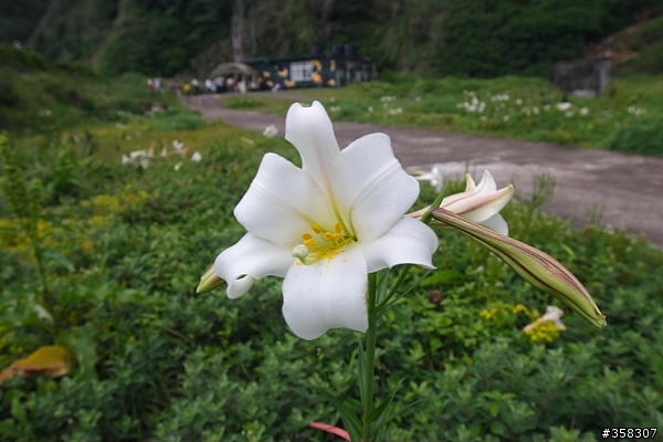 頭城：舊小百岳～龜山島山（401高地）、龜山島