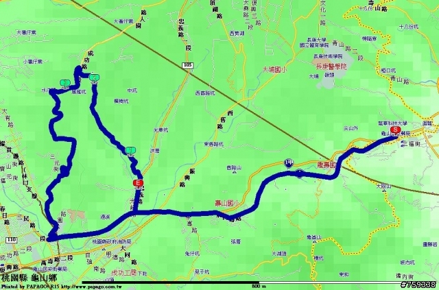 [影像回顧]極樹 6/29(日),AM6:30,龜山楓樹村