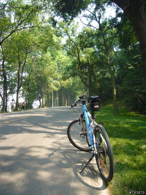 My first Road Bike--Trek Pilot 2.1™