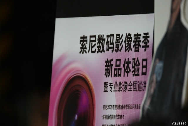 EF 800mm f5.6L IS 閩江河口 共同的牽掛