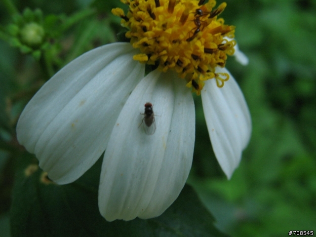 A640新手 請各位幫我看看吧!