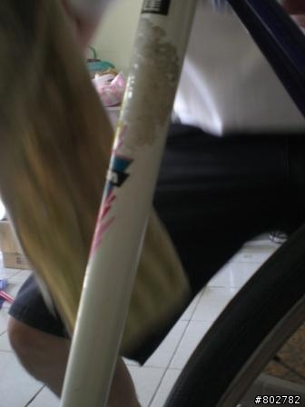 一片G牌鋼管車復活的聲浪中M牌在哪阿(破除萬難M牌鋼管重生)