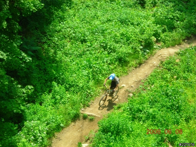 登山車公園體驗之旅(New jersey Diablo freeride park)