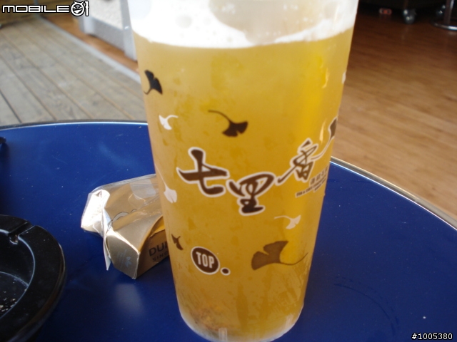 單人環島,鎩羽而歸