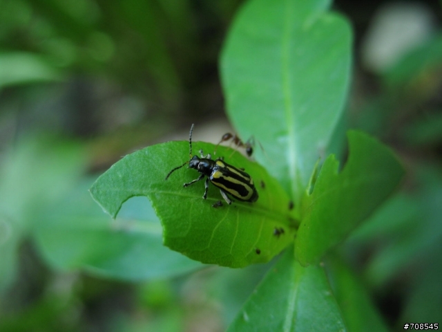 A640新手 請各位幫我看看吧!