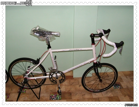 PERFORMER RACE小徑車入手