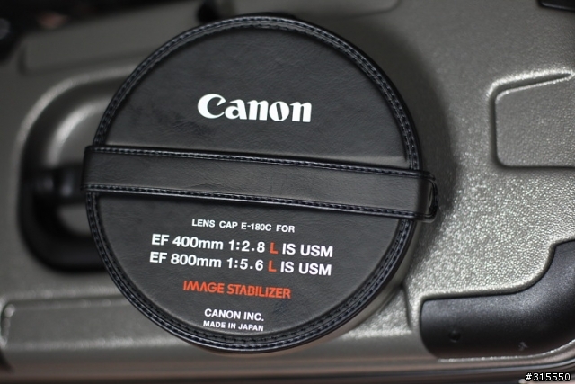 EF 800mm f5.6L IS 閩江河口 共同的牽掛
